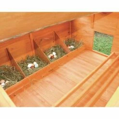 FERME DE BEAUMONT Poulailler Calgary -POULAILLER ET ÉLEVAGE DE LA BASSE-COUR Ventes 10735306 3