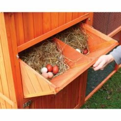 FERME DE BEAUMONT Poulailler Norway -POULAILLER ET ÉLEVAGE DE LA BASSE-COUR Ventes 10735311 4