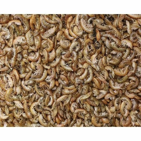 FERME DE BEAUMONT Crevettes Déshydratées 2,5 Litres (250 Gr) 2 FERME DE BEAUMONT Crevettes Déshydratées 2,5 Litres (250 Gr) – Image 2
