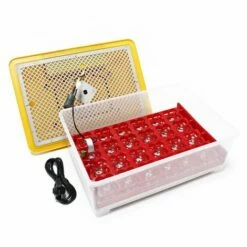WILTEC Couveuse Automatique 24 Oeufs Appareil à Couver Incubateur Volaille Eleveurs -POULAILLER ET ÉLEVAGE DE LA BASSE-COUR Ventes 1207870 3