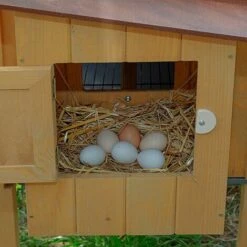 Ferplast HEN HOUSE 30 Poulailler En Pin Nordique FSC. Variante HEN HOUSE 30 - Mesures: 162 X 100 X H 110 Cm - -POULAILLER ET ÉLEVAGE DE LA BASSE-COUR Ventes 13132219 4