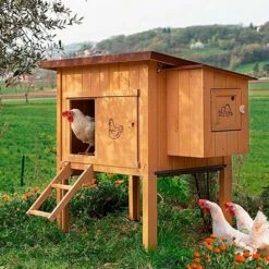 Ferplast HEN HOUSE 10 Maisonnette Pour Poules En Bois De Pin Nordique. Variante HEN HOUSE 10 - Mesures: 124 X 98 X H 110 Cm - -POULAILLER ET ÉLEVAGE DE LA BASSE-COUR Ventes 13458173 4