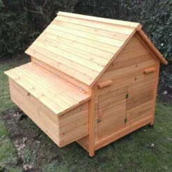 CHEMIN DES POULAILLERS Poulailler Cémani Xl Toit Bois 6 À 10 Poules -POULAILLER ET ÉLEVAGE DE LA BASSE-COUR Ventes 13510114 4