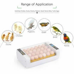ASUPERMALL Incubateur Automatique Pour Oeufs, Ac220V, (Peut Regarder La Video) -POULAILLER ET ÉLEVAGE DE LA BASSE-COUR Ventes 14635315 4