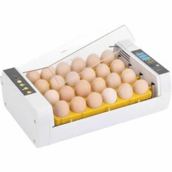 ASUPERMALL Incubateur Automatique Pour Oeufs, Ac220V, (Peut Regarder La Video) -POULAILLER ET ÉLEVAGE DE LA BASSE-COUR Ventes 14635315 5