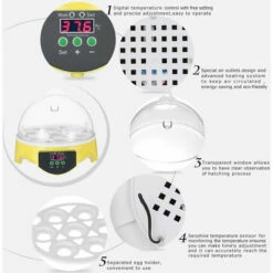 ASUPERMALL Incubateur Automatique Intelligent Pour Oeufs 7 Oeufs Ac220V Eu Plug -POULAILLER ET ÉLEVAGE DE LA BASSE-COUR Ventes 14635317 4