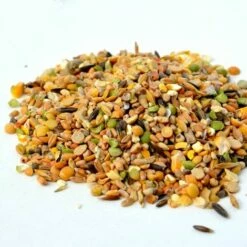 GASCO Repas Complet Spécial Ponte Pour Poules, Avec Distributeur Intégré -POULAILLER ET ÉLEVAGE DE LA BASSE-COUR Ventes 15622515 3