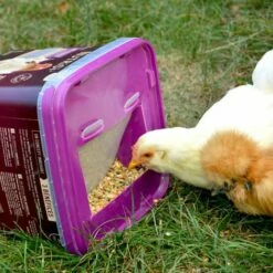 GASCO Repas Complet Spécial Ponte Pour Poules, Avec Distributeur Intégré -POULAILLER ET ÉLEVAGE DE LA BASSE-COUR Ventes 15622515 5