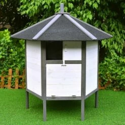 MUCOLA Poulailler Poulet Volailles Blanc Gris Domestiques Volière XXL 6-coins Stylo Volaille 8 MUCOLA Poulailler Poulet Volailles Blanc Gris Domestiques Volière XXL 6-coins Stylo Volaille -POULAILLER ET ÉLEVAGE DE LA BASSE-COUR Ventes 17089333 4