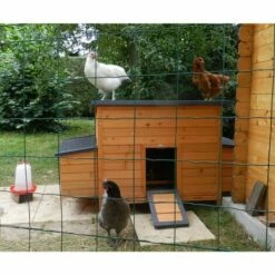 ONYX Pondoir Pour Poulailler Sussex L Et Xl 2 Places Bois Fsc -POULAILLER ET ÉLEVAGE DE LA BASSE-COUR Ventes 18991368 3
