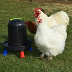 POULAILLER DIRECT Abreuvoir Volailles À Pieds En Plastique Recyclé Eco 10l 9 POULAILLER DIRECT Abreuvoir Volailles À Pieds En Plastique Recyclé Eco 10l -POULAILLER ET ÉLEVAGE DE LA BASSE-COUR Ventes 19267400 5