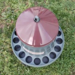 Poulailler et élevage de la basse-cour Soldes 2022 -POULAILLER ET ÉLEVAGE DE LA BASSE-COUR Ventes 19267402 2