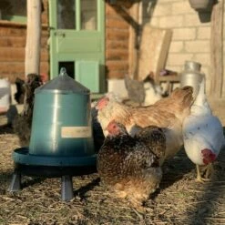 POULAILLER DIRECT Mangeoire Volailles À Pieds En Plastique Recyclé Eco 8kg -POULAILLER ET ÉLEVAGE DE LA BASSE-COUR Ventes 19267402 3