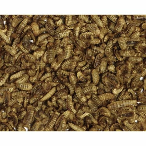 FERME DE BEAUMONT Insectes Séchés Crunchy Poules Et Oiseaux 3 Kg 2 FERME DE BEAUMONT Insectes Séchés Crunchy Poules Et Oiseaux 3 Kg – Image 2