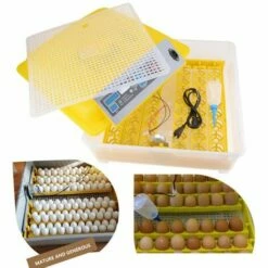 BETTER MAISON Automatique Intelligent 48 Oeufs Incubateur Poulet Canard Oeufs Hatcher 80W EU Prise - Jaune -POULAILLER ET ÉLEVAGE DE LA BASSE-COUR Ventes 21204538 4