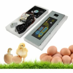 ASUPERMALL Htmc-5 Diy Mini Incubateur Controleur De Temperature Constante Oeufs Boite D'Incubation Accessoires -POULAILLER ET ÉLEVAGE DE LA BASSE-COUR Ventes 21352312 4