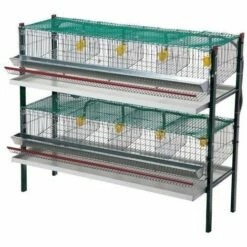 AVIMAC Cage Cailles Pondeuses 8 Compartiments