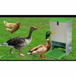 OLBA Mangeoire Anti-nuisible à Trémie, 20 Kg - Vert 9 OLBA Mangeoire Anti-nuisible à Trémie, 20 Kg - Vert -POULAILLER ET ÉLEVAGE DE LA BASSE-COUR Ventes 23807043 5