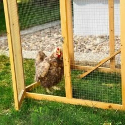 Melko Poulailler Avec Sortie Pour 4-6 Poulets Poulailler 168x75x103 Cm Poulailler Volières Avec Nichoir Avec Support De Couvercle, Imprégné Résistant Aux Intempéries -POULAILLER ET ÉLEVAGE DE LA BASSE-COUR Ventes 24027644 4