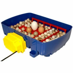 Couveuse Digitale BOROTTO 24 Oeufs Automatique -POULAILLER ET ÉLEVAGE DE LA BASSE-COUR Ventes 24995800 4