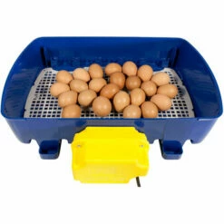 Couveuse Digitale BOROTTO 24 Oeufs Automatique -POULAILLER ET ÉLEVAGE DE LA BASSE-COUR Ventes 24995800 5