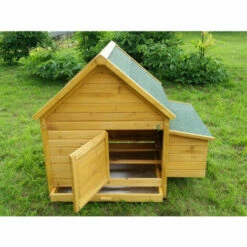 CHEMIN DES POULAILLERS Poulailler Cémani L Toit Shingle Vert 4 À 6 Poules - Vert -POULAILLER ET ÉLEVAGE DE LA BASSE-COUR Ventes 2662436 3