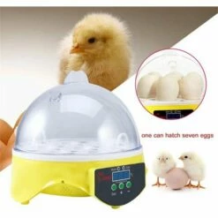 MERKMAK Couveuse Automatique Digital Incubateur Machine A Couver 7 Oeufs Poule