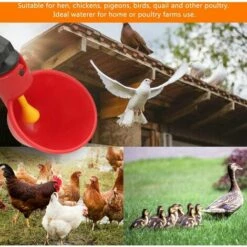 LITZEE 10 PCS Abreuvoir Poules Abreuvoir à Poulet En Plastique Automatique Abreuvoir à Volaille Kit Distributeur D'eau Potable Bols Systèmes D'alimentation En Eau Pour Cailles D'oiseaux Pigeon Poulet -POULAILLER ET ÉLEVAGE DE LA BASSE-COUR Ventes 28070467 3