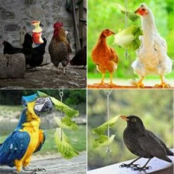 Betterlife Poulet Suspendu Mangeoire Poulet Perroquet Suspendu Mangeoire à Oiseaux En Acier Inoxydable Mangeoire à Poulet Jouet= -POULAILLER ET ÉLEVAGE DE LA BASSE-COUR Ventes 30051690 4