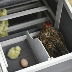 PawHut Poulailler Cottage Cage à Poules Surélevé Dim. 176L X 65l X 100H Cm Multi-équipement Toit Bitumé Noir Bois Sapin Gris Blanc - Gris -POULAILLER ET ÉLEVAGE DE LA BASSE-COUR Ventes 30202374 4