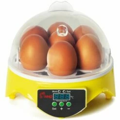 IDMARKET Couveuse Manuelle 7 Oeufs Incubateur Température Réglable