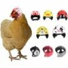 Triomphe Casque Pour Animaux De Compagnie Casque De Poulet Chapeau Pour Animaux De Compagnie Jouet Casque Casque De Poule De Poule Costumes Accessoires Pour Poulet 8 Pièces