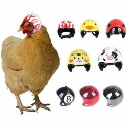 Triomphe Casque Pour Animaux De Compagnie Casque De Poulet Chapeau Pour Animaux De Compagnie Jouet Casque Casque De Poule De Poule Costumes Accessoires Pour Poulet 8 Pièces