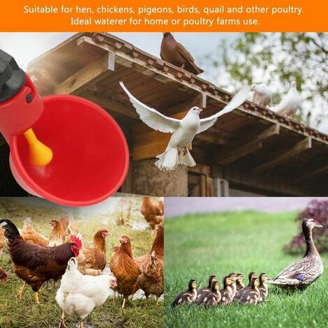 AIDUCHO 10 PCS Abreuvoir Poules Abreuvoir à Poulet En Plastique Automatique Abreuvoir à Volaille Kit Distributeur D'eau Potable Bols Systèmes D'alimentation En Eau Pour Cailles D'oiseaux Pigeon Poulet 3 AIDUCHO 10 PCS Abreuvoir Poules Abreuvoir à Poulet En Plastique Automatique Abreuvoir à Volaille Kit Distributeur D'eau Potable Bols Systèmes D'alimentation En Eau Pour Cailles D'oiseaux Pigeon Poulet – Image 3