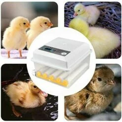 MERKMAK Incubateur Oeufs Couveuse A Oeuf Automatique Pour Volaille, Caille, Oie Canard, Pigeon, Reptile - 16 Oeufs -POULAILLER ET ÉLEVAGE DE LA BASSE-COUR Ventes 33768962 5