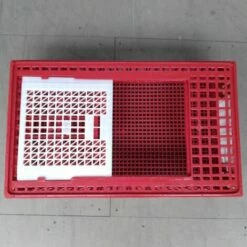 CHEMIN DES POULAILLERS Cage Transport Poules Et Volailles 77x57x27cm 2 Portes Rouge Et Blanche 8 CHEMIN DES POULAILLERS Cage Transport Poules Et Volailles 77x57x27cm 2 Portes Rouge Et Blanche -POULAILLER ET ÉLEVAGE DE LA BASSE-COUR Ventes 35331813 4