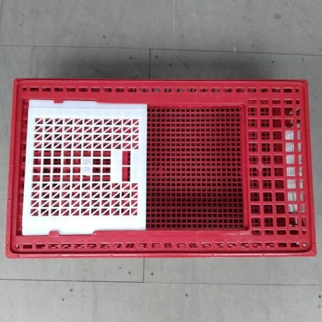 CHEMIN DES POULAILLERS Cage Transport Poules Et Volailles 77x57x27cm 2 Portes Rouge Et Blanche 4 CHEMIN DES POULAILLERS Cage Transport Poules Et Volailles 77x57x27cm 2 Portes Rouge Et Blanche – Image 4