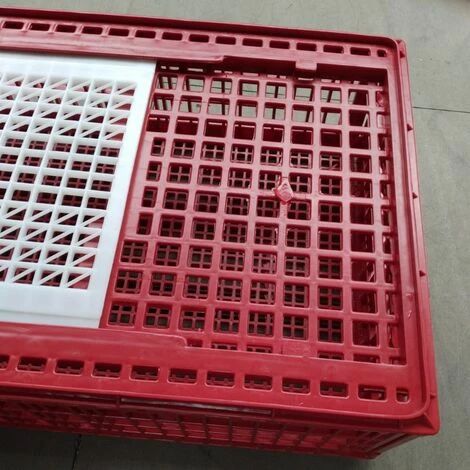 CHEMIN DES POULAILLERS Cage Transport Poules Et Volailles 77x57x27cm 2 Portes Rouge Et Blanche 5 CHEMIN DES POULAILLERS Cage Transport Poules Et Volailles 77x57x27cm 2 Portes Rouge Et Blanche – Image 5