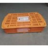POULAILLER DIRECT Cage De Transport Petite Volaille 67x45x15cm 2 Portes Orange Et Blanche - Orange