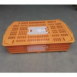 POULAILLER DIRECT Cage De Transport Petite Volaille 67x45x15cm 2 Portes Orange Et Blanche - Orange