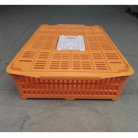 POULAILLER DIRECT Cage De Transport Petite Volaille 67x45x15cm 2 Portes Orange Et Blanche - Orange 2 POULAILLER DIRECT Cage De Transport Petite Volaille 67x45x15cm 2 Portes Orange Et Blanche - Orange – Image 2