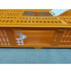 POULAILLER DIRECT Cage De Transport Petite Volaille 67x45x15cm 2 Portes Orange Et Blanche - Orange 9 POULAILLER DIRECT Cage De Transport Petite Volaille 67x45x15cm 2 Portes Orange Et Blanche - Orange -POULAILLER ET ÉLEVAGE DE LA BASSE-COUR Ventes 35363182 5