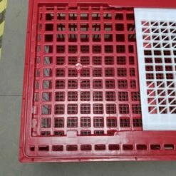POULAILLER DIRECT Cage De Transport Grande Volaille 96x57x42cm 3 Portes Rouge Et Blanche -POULAILLER ET ÉLEVAGE DE LA BASSE-COUR Ventes 35604650 5