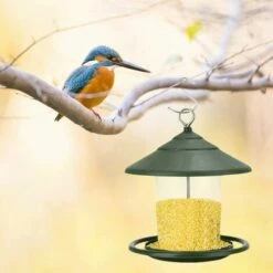 SUNFLOWER Mangeoires Pour Oiseaux Sauvages, Mangeoire à Oiseaux Suspendue, Mangeoire à Oiseaux Suspendue En Plastique Pour Balcon Extérieur Transparent (Vert) 8 SUNFLOWER Mangeoires Pour Oiseaux Sauvages, Mangeoire à Oiseaux Suspendue, Mangeoire à Oiseaux Suspendue En Plastique Pour Balcon Extérieur Transparent (Vert) -POULAILLER ET ÉLEVAGE DE LA BASSE-COUR Ventes 36773405 4