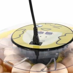 BETTER MAISON Tourneur Automatique D'oeufs D'incubateur Numérique De 30 Oeufs Pour Les Canards Et Poulet - Jaune -POULAILLER ET ÉLEVAGE DE LA BASSE-COUR Ventes 37104592 3