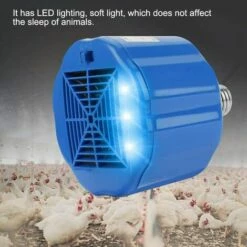 BETTERLIFE Volaille Chaleur Lampe, E27 Lampe Chauffante Pour Animaux De Compagnie, Pour La Chaleur De La Volaille Garder, Lumière Pour Réchauffer Les Poulets Porcelet Lézards Tortue Coop Aquarium Serpent -POULAILLER ET ÉLEVAGE DE LA BASSE-COUR Ventes 37833840 3