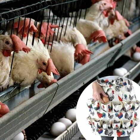 TRIOMPHE Tablier De Collecte D’œufs, 12 Poches Pour Poule Avec Imprimé Coq De Poule Et œufs En Toile, Support Pour Poules Poulailles, Accessoires Au Foyer, Agriculture, Cuisine, Maison De Travail 4 TRIOMPHE Tablier De Collecte D’œufs, 12 Poches Pour Poule Avec Imprimé Coq De Poule Et œufs En Toile, Support Pour Poules Poulailles, Accessoires Au Foyer, Agriculture, Cuisine, Maison De Travail – Image 4