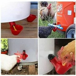 LANGRAY 15 Bols D'eau De Poulet Avec Noix, Abreuvoir De Volaille En Plastique équipement D'élevage Pour Buveur De Caille D'oiseau De Poulet -POULAILLER ET ÉLEVAGE DE LA BASSE-COUR Ventes 37891846 3