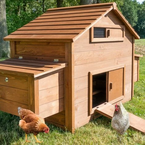 BB-LOISIR Poulailler En Bois Pour Jardin Extérieure Cage Canard équipé 2 Nichoirs 185 X 84 X 112 Cm Modèle 154 Ferme De Terrain 1 BB-LOISIR Poulailler En Bois Pour Jardin Extérieure Cage Canard équipé 2 Nichoirs 185 X 84 X 112 Cm Modèle 154 Ferme De Terrain