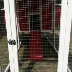 CHEMIN DES POULAILLERS Poulailler Deluxe Toit Shingle Vert 10 À 12 Poules - Vert -POULAILLER ET ÉLEVAGE DE LA BASSE-COUR Ventes 39766165 3